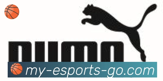 DOTA比分合作伙伴