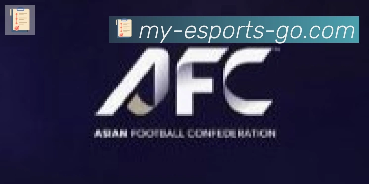 DOTA比分合作伙伴